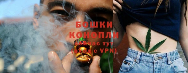 стаф Баксан