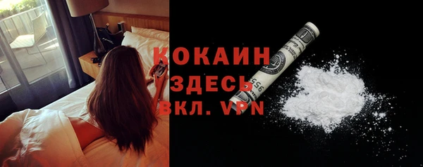 стаф Баксан