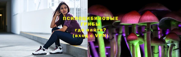 стаф Баксан