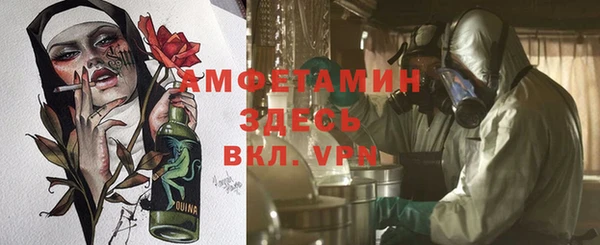 ГАЛЛЮЦИНОГЕННЫЕ ГРИБЫ Балабаново